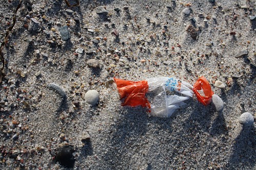 WarnemÃ¼nde (GERMANY): Marine litter found at the beach