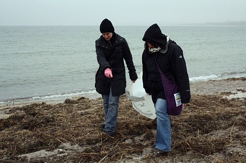 Hohe DÃ¼ne (GERMANY): "Ocean Initiatives 2012": EUCC-D collecting Marine Litter at the beach.
