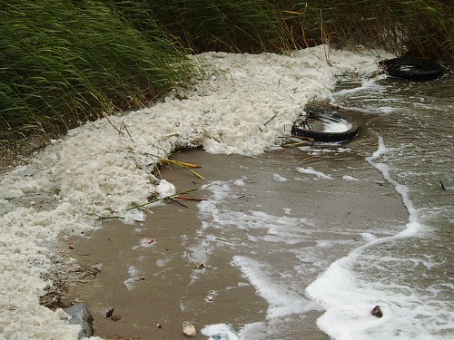 : foam aggregation and waste in the coastline of Kamminke