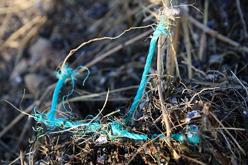 Hohe DÃ¼ne (GERMANY): Marine litter found at the beach